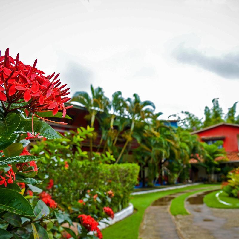 Bed and Breakfast Htl Terra Mar Barra Grande Exterior foto